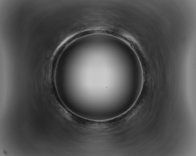 X0000087681216200705041022