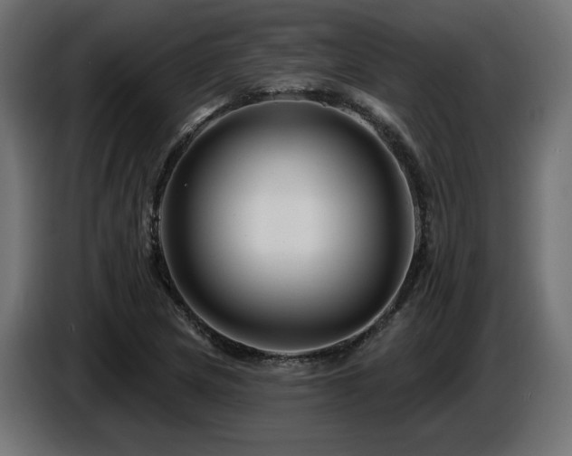 X0000087681217200705041022