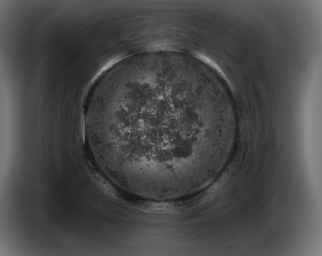 X0000087681219200705041022