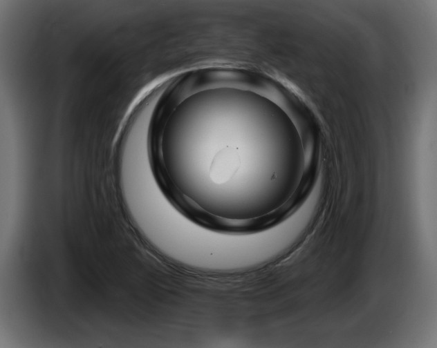 X0000087681222200705041022