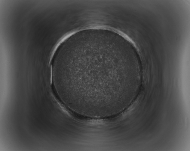 X0000087681223200705041022