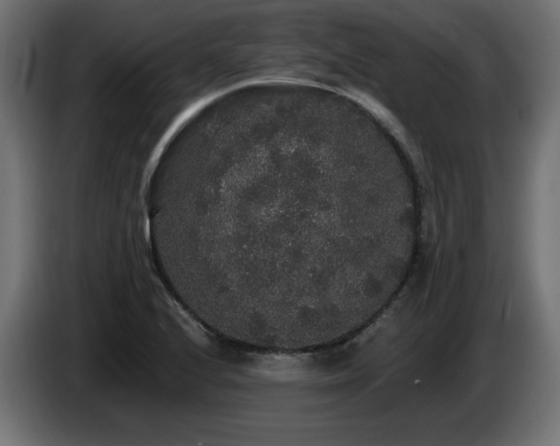 X0000087681224200705041022
