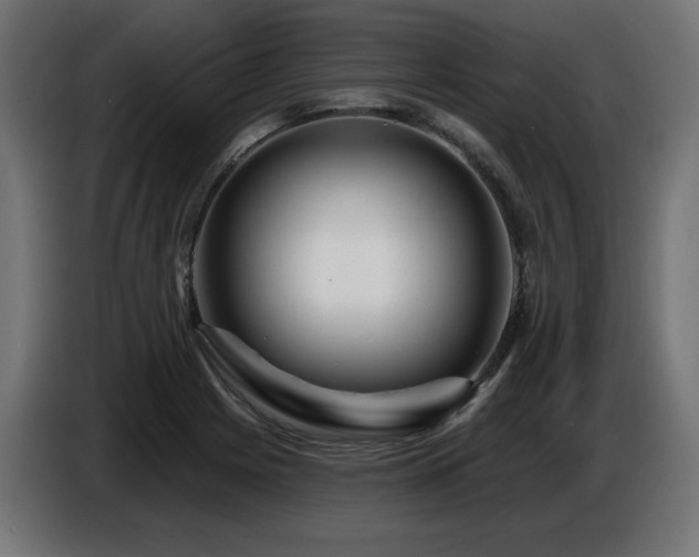 X0000087681225200705041022