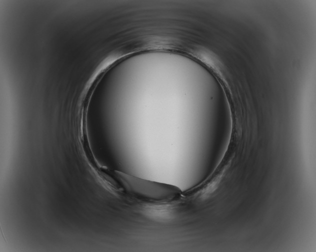 X0000087681227200705041023
