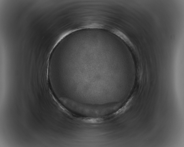 X0000087681228200705041023