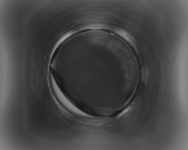 X0000087681229200705041023