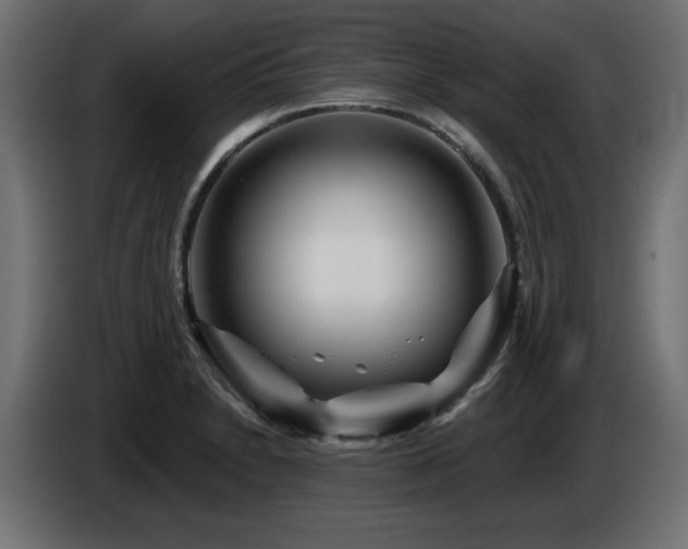 X0000087681230200705041023