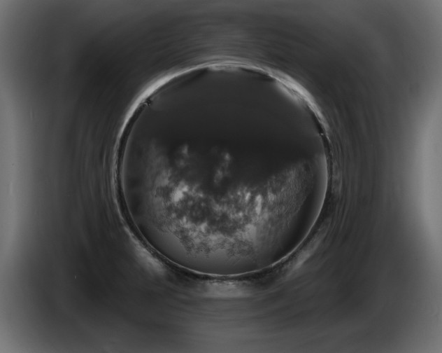 X0000087681231200705041023