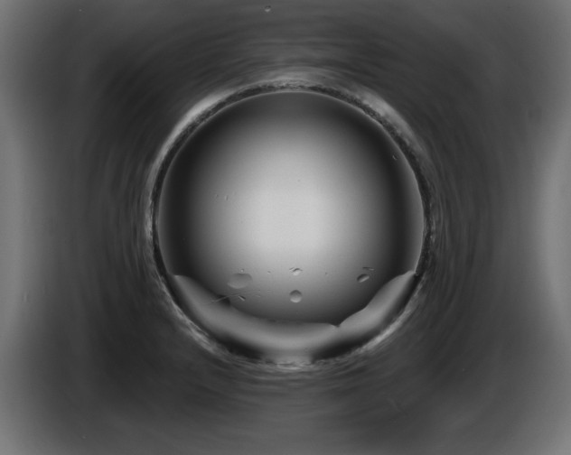 X0000087681232200705041023