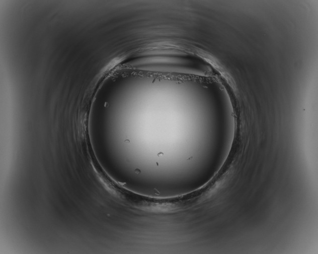 X0000087681233200705041023