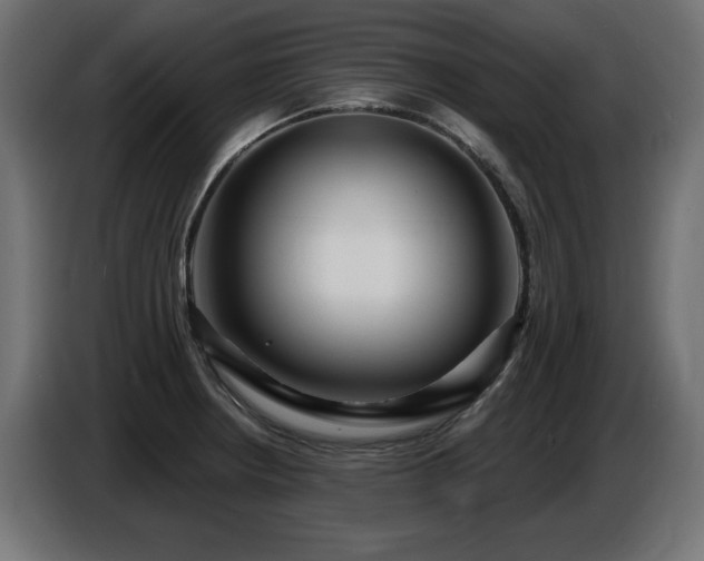 X0000087681234200705041023