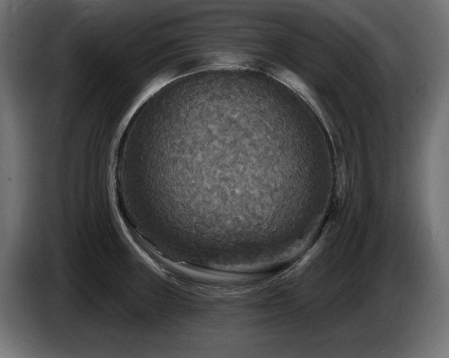 X0000087681235200705041023