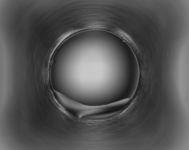 X0000087681236200705041023