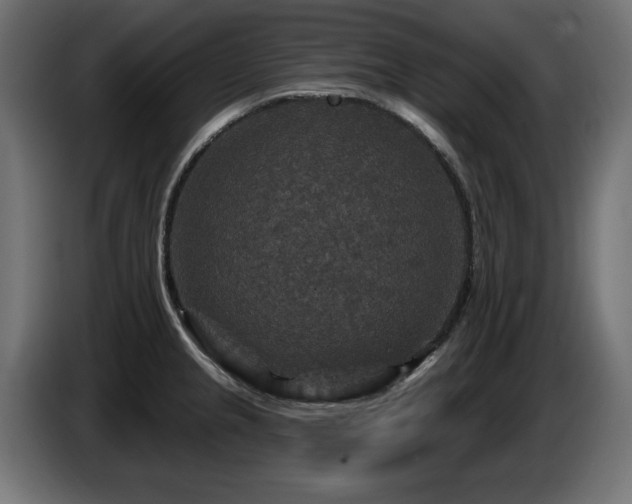 X0000087681237200705041023