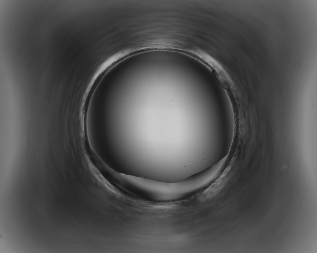 X0000087681238200705041023