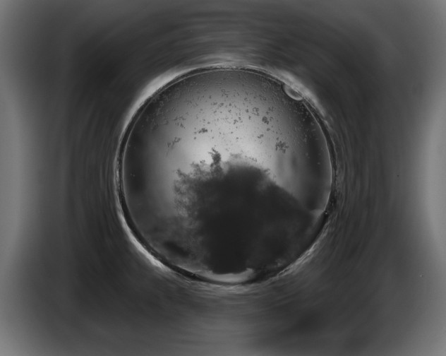 X0000087681239200705041023