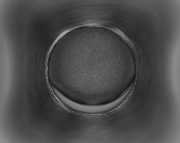 X0000087681240200705041023