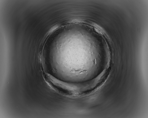 X0000087681241200705041023