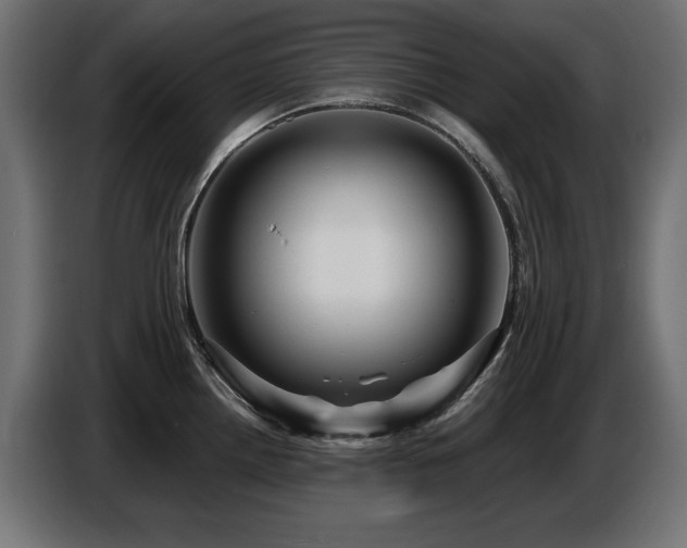 X0000087681242200705041023