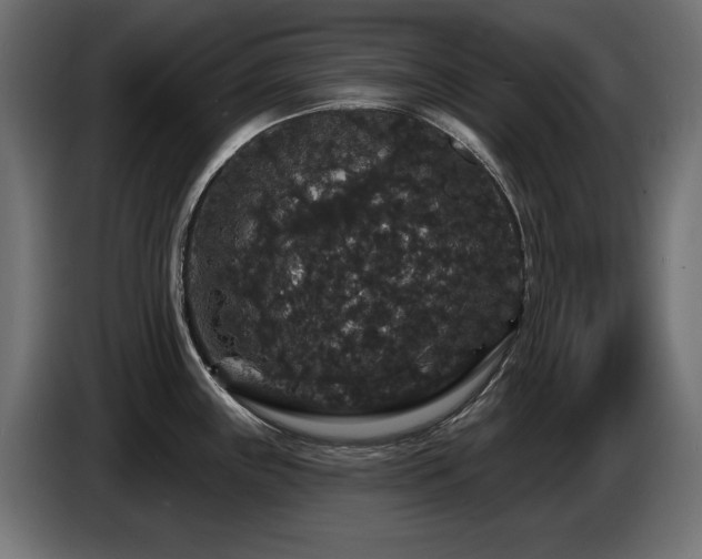 X0000087681243200705041023