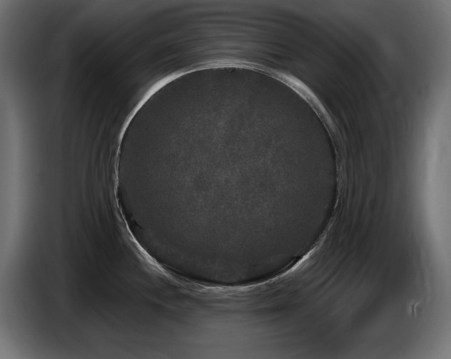 X0000087681244200705041023