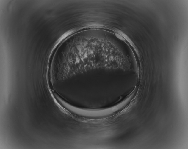 X0000087681245200705041023
