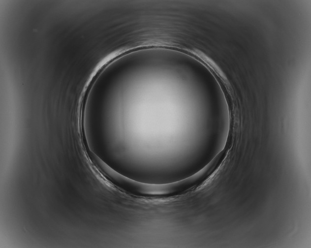 X0000087681246200705041023