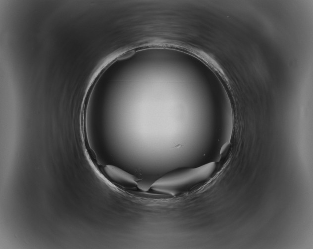 X0000087681247200705041023