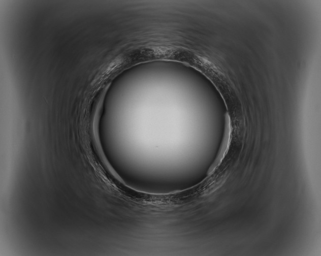 X0000087681249200705041022