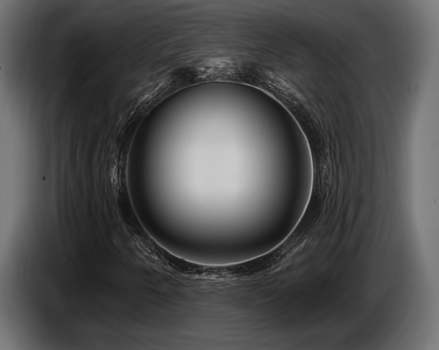 X0000087681250200705041022