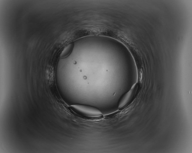 X0000087681251200705041022