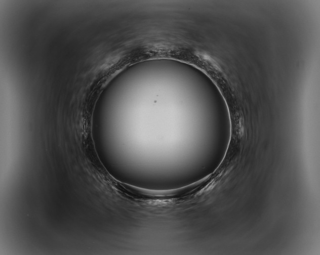 X0000087681253200705041022
