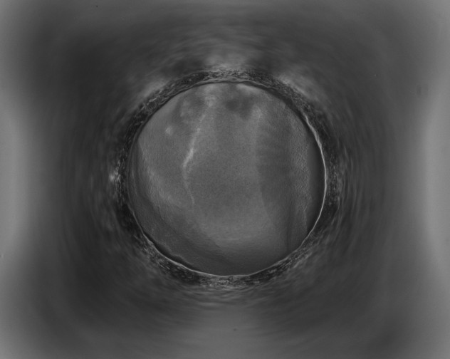 X0000087681254200705041022