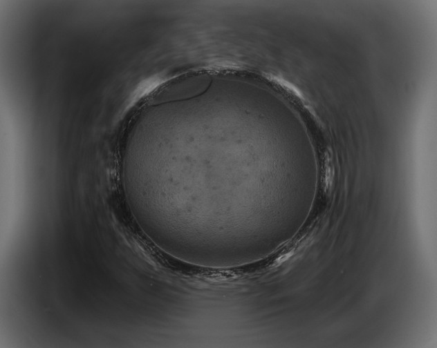 X0000087681255200705041022