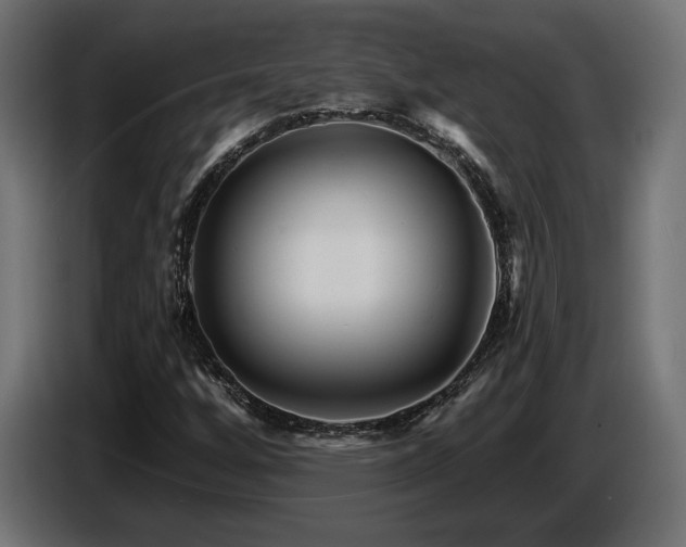 X0000087681256200705041022