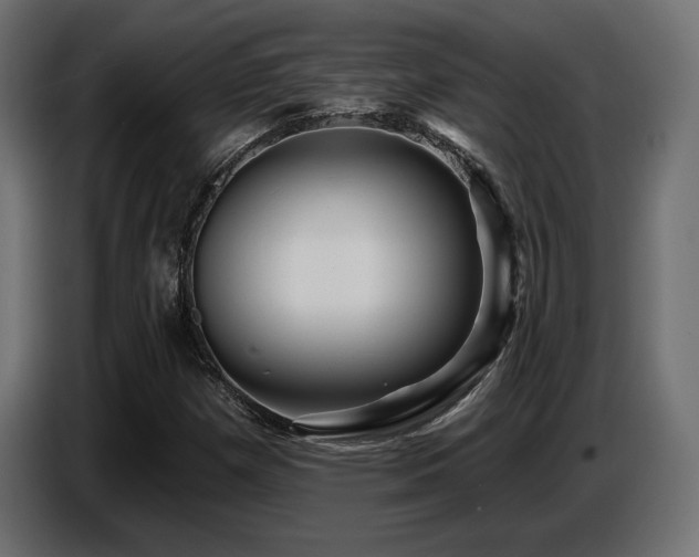 X0000087681257200705041022