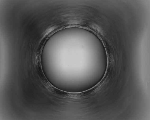 X0000087681258200705041022