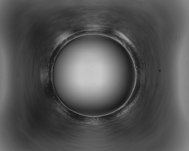 X0000087681259200705041022