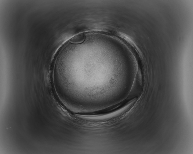 X0000087681260200705041022