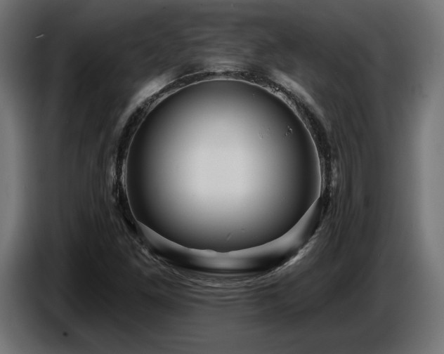 X0000087681261200705041022