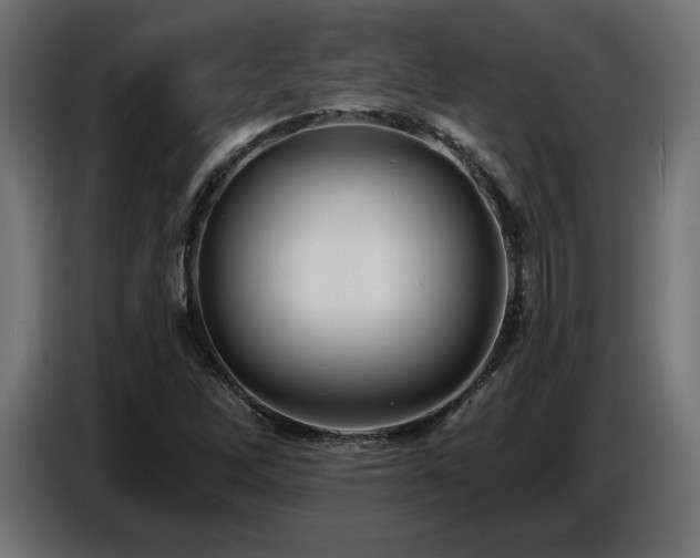 X0000087681262200705041022