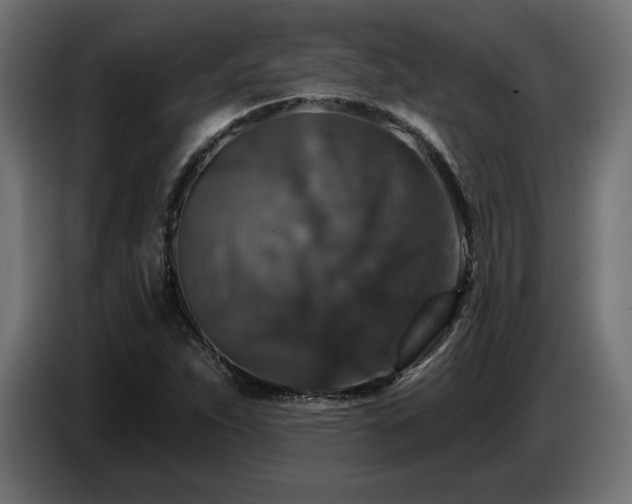 X0000087681263200705041022