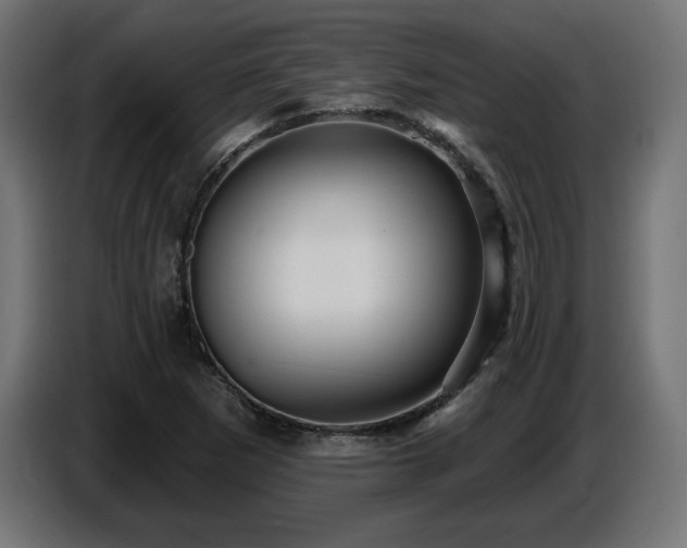 X0000087681265200705041022