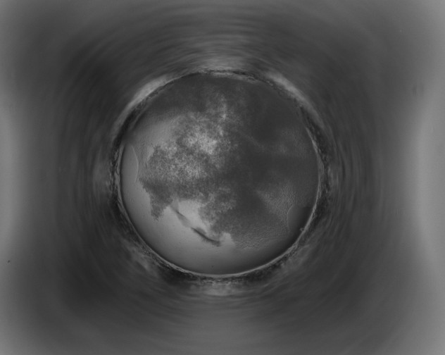 X0000087681266200705041022