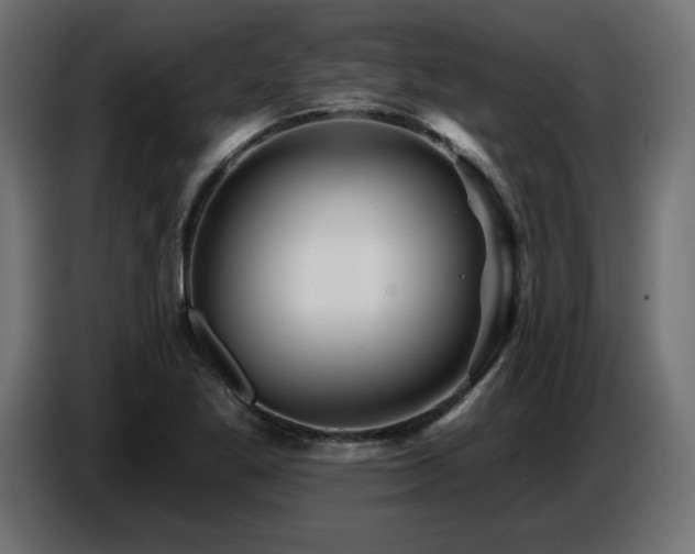 X0000087681269200705041022