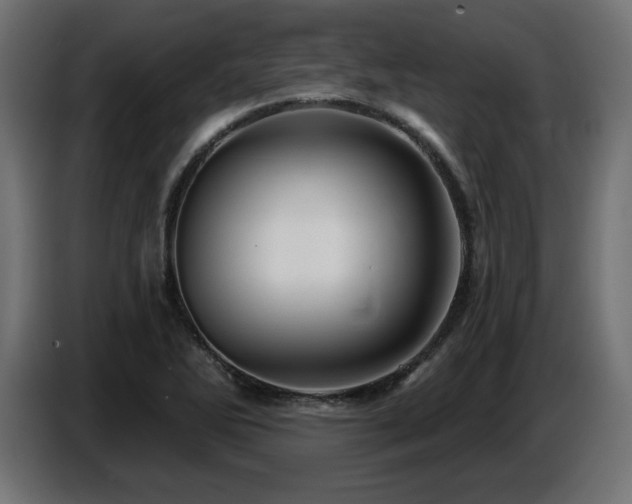 X0000087681270200705041022