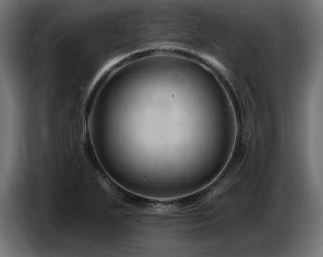 X0000087681271200705041022