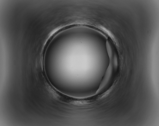 X0000087681272200705041022