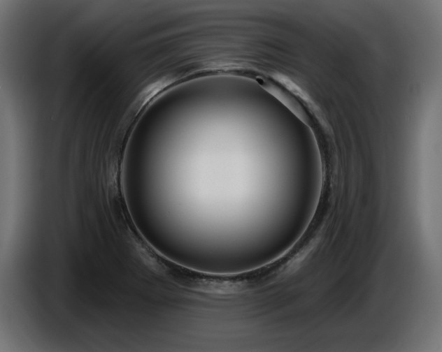 X0000087681273200705041022