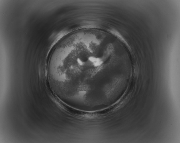 X0000087681274200705041022